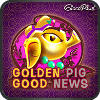 Golden Pig Good News